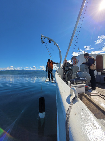 Сеть_20240530_160607