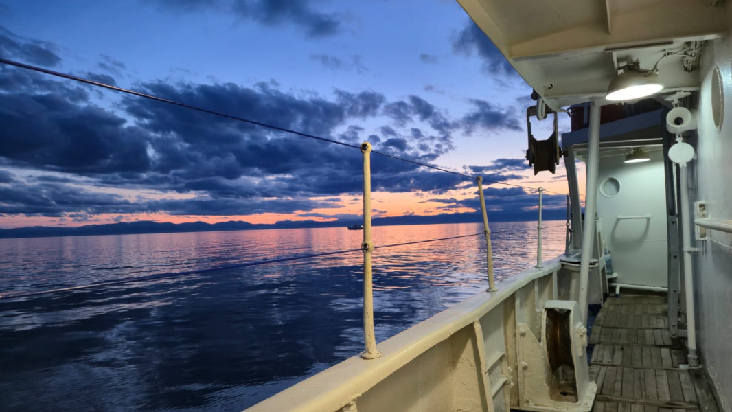 5d072651-65af-4f97-a92f-8f3cc042c837