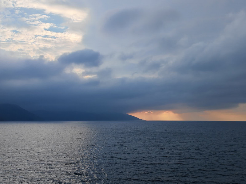 23